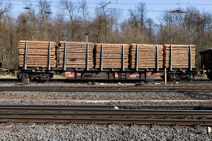 Mal mit Holz: Der Güterwagen Sgns (4556) der Deutschen Bahn mit Holzsstämmen am Güterbahnhof Köln Gremberg / © ummet-eck.de / christian schön