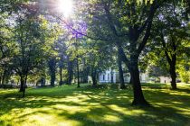 Im Meinerzhagener Volkspark findet das Weinfest statt. • © ummeteck.de - Silke Schön