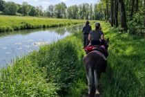 Zusammen unterwegs auf der Esel-Wanderung. • © Nadine Köllken