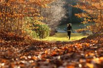 Laufen im Wald an der Brucher - ein Highlight im Herbst (Symbolbild). • © pixabay.com (3832331)