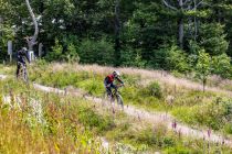 Biken in Willingen in der MTB-Zone Bikepark Willingen. • © ummeteck.de - Christian Schön