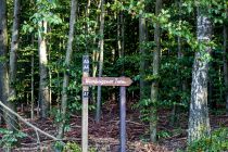 Leichte Wanderung - Der Turm ist vom Wanderparkplatz Dürener Haus oder Elbringhausen in weniger als einer halben Stunde zu Fuß erreichbar.  • © ummeteck.de - Silke Schön