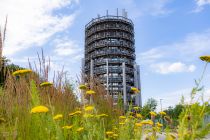 Das ist der 40 Meter hohe Aussichtsturm des Panarbora.  • © ummeteck.de - Silke Schön