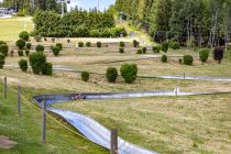 Sommerrodelbahn - Willingen (Upland) - Bilder - Bis zu 40 km/h kannst Du erreichen, ab und an bremsen nicht vergessen. :-) Am Ende kannst Du Dein Erinnerungsfoto mit Speedmessung kaufen.  • © ummeteck.de - Christian Schön