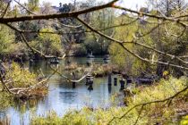 Natur im Phantasialand - Es kommt einem fast unwirklich vor, nur wenige Meter von den quietschbunten Farben der Themenwelt Fantasy entfernt zu sein. • © ummeteck.de - Silke Schön