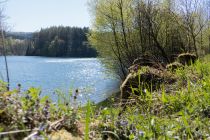 Trinkwassertalsperre - Da die Fürwigge der Trinkwasserversorgung dient, sind Wasser-Aktivitäten wie Boot fahren, baden und tauchen nicht erlaubt. • © ummeteck.de - Silke Schön