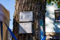 Am Unnenbergturm schließen sich zahlreiche Wandermöglichkeiten an.  • © ummeteck.de - Silke Schön