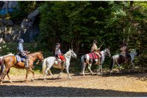 Manchmal im Schritt, oft im Galopp. • © ummeteck.de - Silke Schön