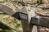 Der Sturm Kyrill wütete im Jahr 2007 auch an der Fürwigge. Dieser Stein-Pfahl wurde von einem umfallenden Baum in den Boden gerammt.  • © ummeteck.de - Timo Schön