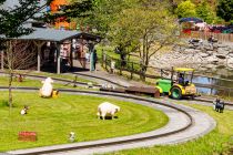 Mit Strohballen hinten drauf fährst Du durch eine tierreiche Farmlandschaft. In einen Traktor passen zwei Personen.  • © ummeteck.de - Silke Schön