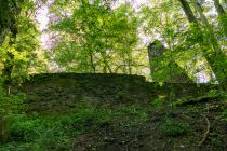 Ein leichter Fußweg von circa 15 Minuten und schon bist Du an der Burgruine angelangt. • © ummeteck.de - Silke Schön