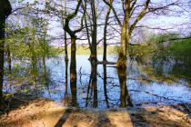 Impressionen - Die Brucher hat sich wundervoll präsentiert. Viele Bäume standen mitten im Wasser. • © ummeteck.de - Silke Schön