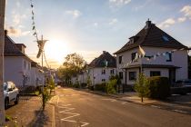 Birken und grün-weiße Deko - Überall in Meinerzhagen findest Du Birken am Straßenrand und natürlich die grün-weißen Wimpel. • © ummeteck.de - Silke Schön