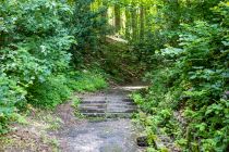 Ein kleines Stück Waldweg führt Dich zum Aussichtspunkt. • © ummeteck.de - Silke Schön