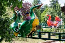 Drachenbahn - Panorama Park Sauerland Wildpark - Aufgrund der Höhe der Bahn dürfen Kinder erst ab 8 Jahren und 125 cm Körpergröße alleine fahren. Darunter dürfen Kinder nur unter aufsichtender Begleitung mitfahren.  • © ummeteck.de - Christian Schön