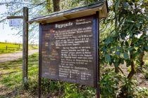 Infotafel in schön - Beeindruckend ist diese handgefertigte Holztafel mit Infos zur Quelle und dem Biggesee. Das war Arbeit! Dort steht auch, dass der Biggefluss eine Länge von über 16 Kilometern hat.  • © ummeteck.de - Silke Schön