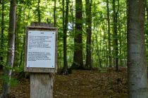 Mehr Wissen - mehr Bewirken - Wie aufwändig ein gesunder Wald gesetzt und gepflegt wird, erfährst auf den zahlreichen Infotafeln. Auf dieser Tafeln steht (verkürzt):

"Wald ist mehr als eine Ansammlung von Bäumen. Der Wald ist eine Lebensgemeinschaft von Pflanzen und Tieren." • © ummeteck.de - Silke Schön