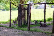 Tipp: Verbinde den Besuch des Wildparks mit einem Spaziergang auf dem Waldklimapfad. Dieser verläuft auch am Gehege des Rotwilds vorbei. • © ummeteck.de - Silke Schön