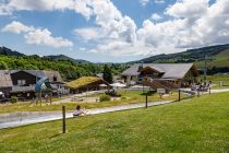 Zieleinfahrt Sommerrodelbahn Ritzhagen in Willingen - 700 Meter Fahrspaß durch elf Kurven und drei Jumps.  • © ummeteck.de - Christian Schön