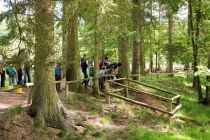 Der Wildwald Vosswinkel liegt in Arnsberg im Hochsauerland.  • © Wildwald Vosswinkel