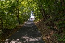 Fußweg zum Kletterwald Freudenberg - Es folgt ein recht steiler Anstieg über eine asphaltierte Straße und danach über einen Waldweg mit Wurzeln. Du brauchst 5-10 Minuten, um zum Kletterwald zu gelangen.  • © ummeteck.de - Silke Schön