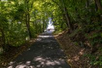 Es folgt ein recht steiler Anstieg über eine asphaltierte Straße und danach über einen Waldweg mit Wurzeln. Du brauchst 5-10 Minuten, um zum Kletterwald zu gelangen.  • © ummeteck.de - Silke Schön