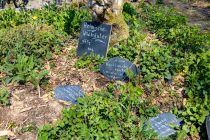 Bewusstsein für die Natur schaffen - Ein Kräutergarten und Streuobstwiesen bereichern die natürliche Vielfalt.  • © ummeteck.de - Silke Schön