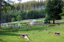 Fahrt durch den Wildpark im Panorama Park - ... der übrigens auch direkt durch einige Gehege des Wildparks fährt... • © ummeteck.de - Christian Schön