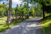 Tiergehege Panorama Park Oberhundem - ... und (um diesen Satz endlich zu beenden) - Du kannst auch zu Fuß hochgehen. Auf dem Weg kommst Du ebenfalls an einigen Tieren vorbei. • © ummeteck.de - Christian Schön