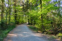 Der Rundweg bietet am Nordufer einigen Schatten. • © ummeteck.de - Silke Schön