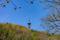 Vom Kurpark aus kannst Du den Aussichtsturm Hohe Hardt sehen. Über den Baumweg vom Park aus findest Du ihn "live".  • © ummeteck.de - Silke Schön