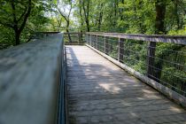 In den Bäumen unterwegs - Es handelt sich um einen Rundweg, der inklusive Aussichtsturm mehr als 1,6 Kilometer lang ist.  • © ummeteck.de - Silke Schön