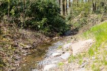 Der Bach entsteht - Ein paar Meter weiter sieht der Biggebach dann so aus. • © ummeteck.de - Silke Schön