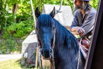 ... sind natürlich die Pferde! Was wäre eine Westernshow auf eine Naturbühne ohne diese bildhübschen, bestens ausgebildeten Verlass-Pferde? • © ummeteck.de - Silke Schön