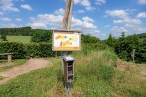 Am Labyrinth befindet sich eine Rätselstation des Rätselweges Op´m Stupper. Der Hof befindet sich etwas unterhalb, dort gibt es auch einen Spielplatz für die Kinder.  • © ummeteck.de - Silke Schön