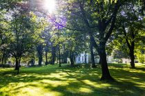 Hinten siehst Du die Villa im Park. Sie ist ein Veranstaltungszentrum. • © ummeteck.de - Silke Schön