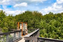 Lernstationen am Baumwipfelpfad - Sechs Lernstationen erklären Nützliches über den Wald als Lebensraum - und warum wir ihn schützen müssen. • © ummeteck.de - Silke Schön