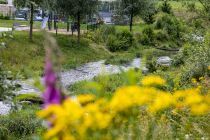 Im Zuge des Baus der Anlage erfuhr der Fluß Volme eine Renaturierung und schlängelt sich nun durch den Park.  • © ummeteck.de - Silke Schön