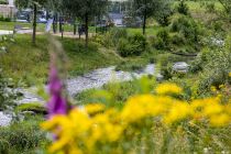 Die Volme - Im Zuge des Baus der Anlage erfuhr der Fluß Volme eine Renaturierung und schlängelt sich nun durch den Park.  • © ummeteck.de - Silke Schön