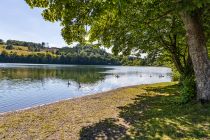 Die Badestelle in Hunswinkel ist beliebt bei Wasservögeln. • © ummeteck.de - Silke Schön