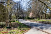 Frühling im Fredenbaumpark. • © ummet-eck.de - Silke Schön