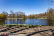 Fredenbaumpark - Dortmund - Bilder - Zwei Seen liegen im Fredenbaumpark. Der größere, östlich gelegene See bietet von März bis Oktober einen Bootsverleih.  • © ummet-eck.de - Silke Schön