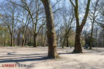 Er entstand bereits Ende des 19. Jahrhunderts. Begrenzt wird der Park im Westen vom Dortmund-Ems-Kanal. • © ummet-eck.de - Silke Schön