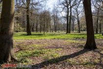 Fredenbaumpark - Dortmund - Bilder • © ummet-eck.de - Silke Schön