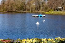 See mit Bootsverleih im Fredenbaumpark - Dortmund - Bilder • © ummet-eck.de - Silke Schön