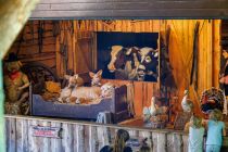 Farmtheater Fort Fun Abenteuerland - Hübsch gemacht für jüngere Kinder ist das Farmtheater, in dem maschinenbetriebe Farmtiere eine Geschichte erzählen.
 • © ummeteck.de - Christian Schön