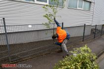 Birken Verteilen Osterbauernschaft 2022 - Aus Zeitgründen - wir fahren jetzt zum Haukommando Stadtmitte - lassen wir die Bilder aber diesmal unkommentiert. • © ummet-eck.de / christian schön