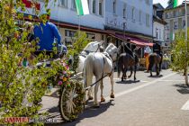 Pferde in der Fußgängerzone während des Festzuges am Montag. • © ummeteck.de - Silke Schön