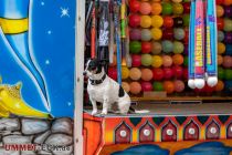 Osterkirmes Herford 2023 - Schnappschuss mit Hund. • © ummet-eck.de - Silke Schön