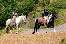 Elspe Festival 2023: Unter Geiern - Bilder - Indianer - Die Komantschen kommen. • © ummet-eck.de - Silke Schön